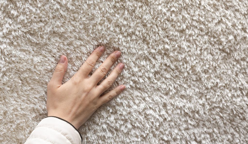 Domestic Carpet Cleaning, Chemo Clean