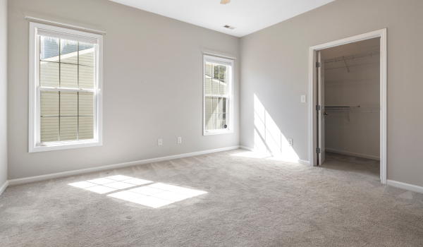 Freshly cleaned carpet in home