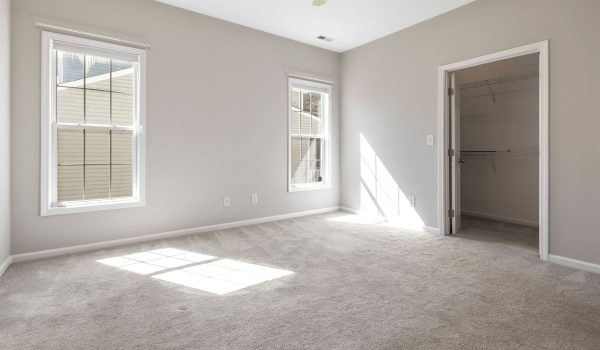 Freshly cleaned carpet in home