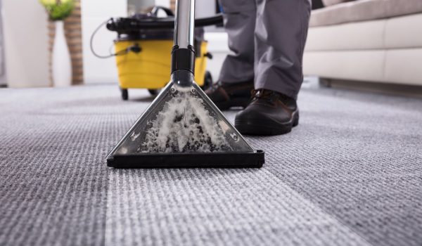 Domestic Carpet Cleaning, Chemo Clean